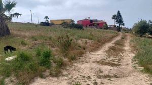 Terreno en Campo Real