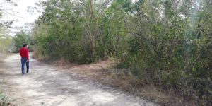 TERRENO EN VENTA EN CONKAL,YUCATAN.