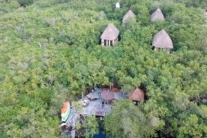 Terreno para Hotel Ecoturistico en Tulum con Cenote