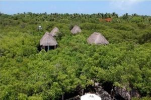 Terreno para Hotel Ecoturistico en Tulum con Cenote