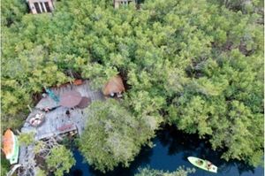 Terreno para Hotel Ecoturistico en Tulum con Cenote