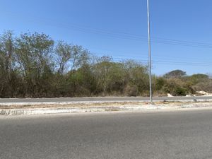 TERRENO EN ESQUINA SOBRE AVENIDA CERCA DE PERIFERICO PONIENTE 9,300 M2