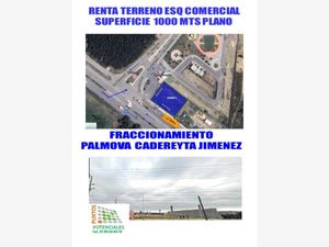 Terreno en Renta en Palmanova Cadereyta Jiménez