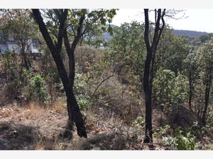 Terreno en Venta en El Palomar Tlajomulco de Zúñiga