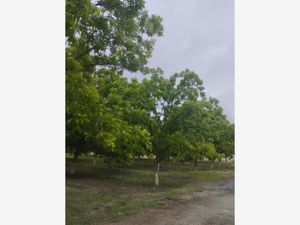 Terreno en Venta en Ojo de Agua Parras