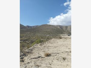 Terreno en Venta en Las Tres Lomas Parras