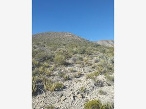 Terreno en Venta en Las Tres Lomas Parras