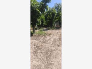 Terreno en Venta en Parras de la Fuente Centro Parras