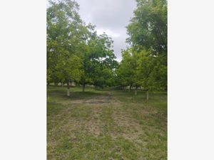 Terreno en Venta en Ojo de Agua Parras