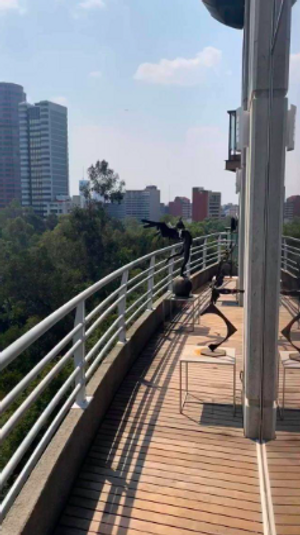 Departamento en venta o renta en Campos Eliseos, Polanco, cdmx