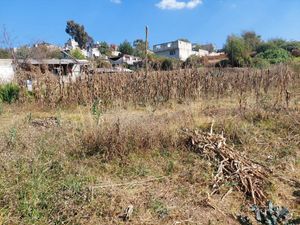 TERRENO EN VENTA XONACATLAN