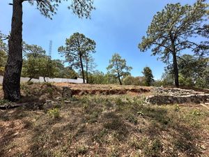 Terreno en Mazamitla, Jalisco en Fracc. Santa Bárbara Vida de Bosque