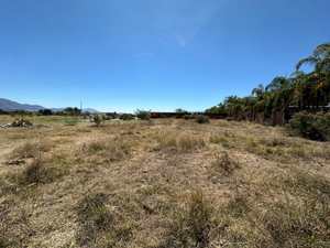 Terreno con Palenque en Acatlán de Juárez