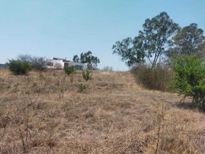 Terreno en Venta en Campestre Haras Amozoc