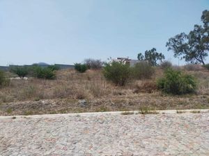 Terreno en Venta en Campestre Haras Amozoc