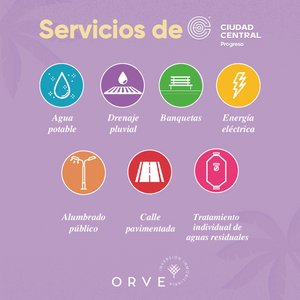 Servicios