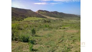 Venta de Terreno Comercial- Valle de Guadalupe