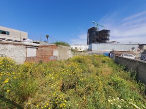 Terreno en Renta - En Zona Centro Av. Sirak Baloyan