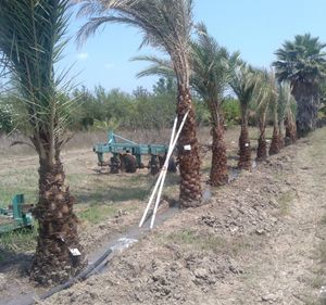 Terreno en Venta en Cadereyta Jimenes N.L.