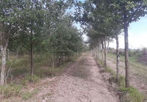 Terreno en Venta en Cadereyta Jimenes N.L.