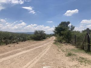 Terreno en Venta en El Capulín San José Iturbide