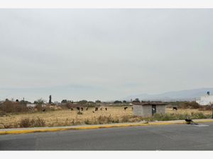 Terreno en Venta en San Gregorio Cuautzingo Chalco