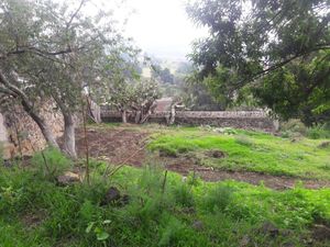 SE VENDE RANCHO CON CASA Y TERRENO AMPLIO EN XOCHIMILCO