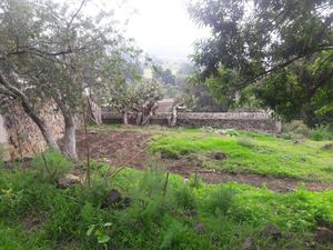 SE VENDE RANCHO CON CASA Y TERRENO AMPLIO EN XOCHIMILCO