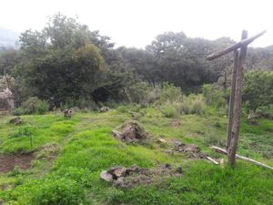 SE VENDE RANCHO CON CASA Y TERRENO AMPLIO EN XOCHIMILCO