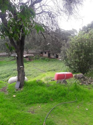 SE VENDE RANCHO CON CASA Y TERRENO AMPLIO EN XOCHIMILCO