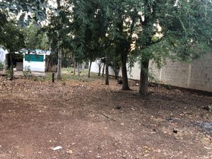 TERRENO EN VENTA EN CAMPECHE: IMI 3