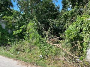 TERRENO EN VENTA EN CAMPECHE: IMI 1