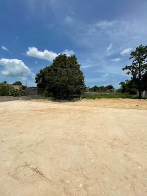 TERRENO EN VENTA EN CAMPECHE: AVENIDA COLOSIO