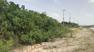 TERRENO EN VENTA EN CAMPECHE: PERIFERICO PABLO GARCIA Y MONTILLA