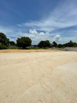 TERRENO EN VENTA EN CAMPECHE: AVENIDA COLOSIO