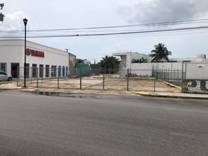 TERRENO EN RENTA EN CAMPECHE: AV. 16 DE SEPTIEMBRE