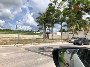 TERRENOS EN RENTA EN CAMPECHE:   AV. LAZARO CARDENAS