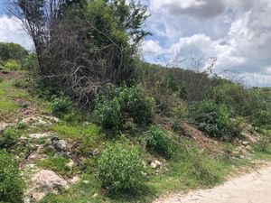 TERRENO EN VENTA EN CAMPECHE: COL. SAMBULA