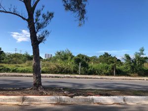 TERRENO EN VENTA EN CAMPECHE: AVENIDA GUSTAVO DIAZ ORDAZ