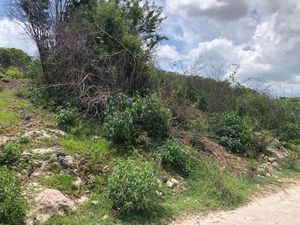 TERRENO EN VENTA EN CAMPECHE: COL. SAMBULA