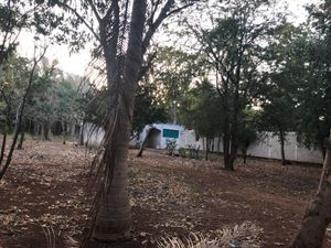 TERRENO EN VENTA EN CAMPECHE: IMI 3