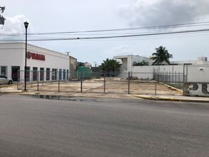 TERRENO EN RENTA EN CAMPECHE: AV. 16 DE SEPTIEMBRE