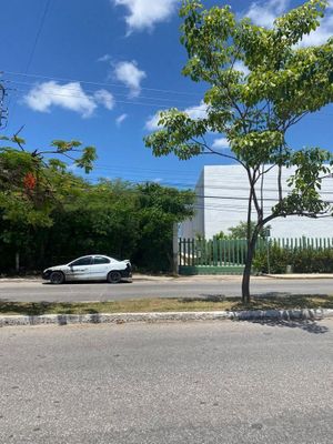 TERRENO EN VENTA EN CAMPECHE: AV. LAZARO CARDENAS