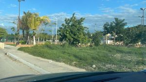 TERRENO EN RENTA EN CAMPECHE: AREA AH KIM PECH