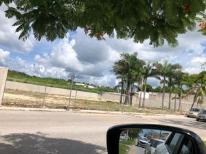 TERRENOS EN RENTA EN CAMPECHE:   AV. LAZARO CARDENAS