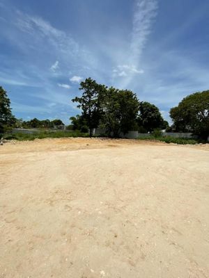 TERRENO EN VENTA EN CAMPECHE: AVENIDA COLOSIO