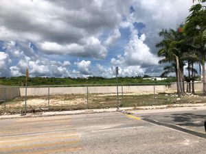 TERRENOS EN RENTA EN CAMPECHE:   AV. LAZARO CARDENAS