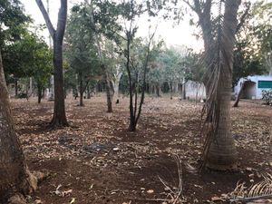 TERRENO EN VENTA EN CAMPECHE: IMI 3