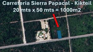 Terreno de 1,000 m2 sobre Carretera Mérida - Progreso - Sierra Papacal