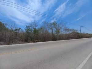 Terreno de 1,000 m2 sobre Carretera Mérida - Progreso - Sierra Papacal